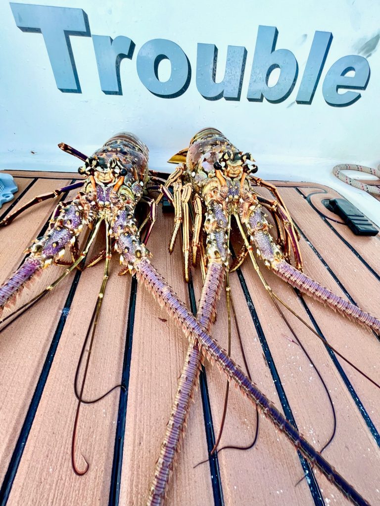 2 Lobsters