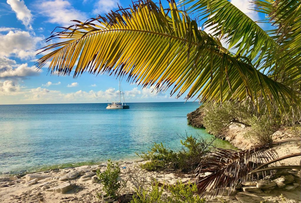 Trouble in Buena Vista Cay