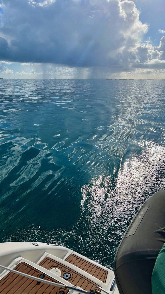 Dead Calm With Squalls On The Horizon