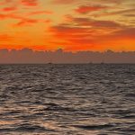 Sails on the horizon