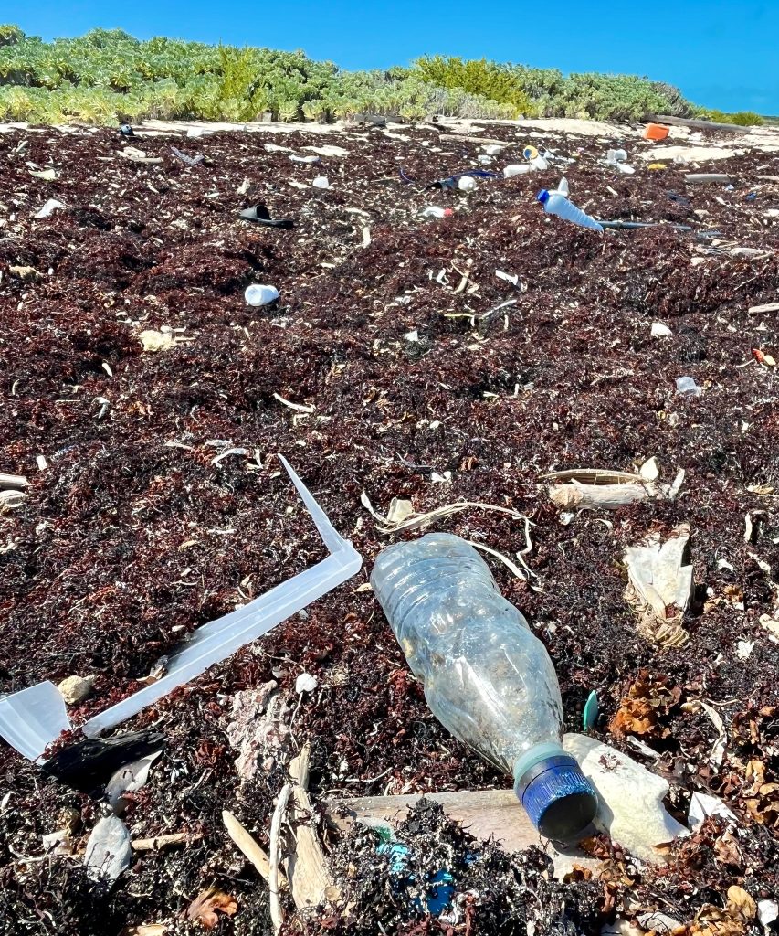 The amount of plastics that wash up on these remote beaches is astounding.