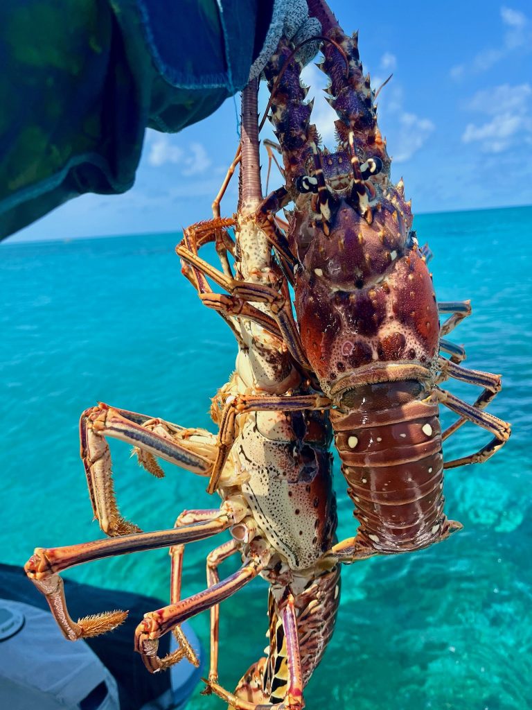 Fruitful Fishing at Water Cay