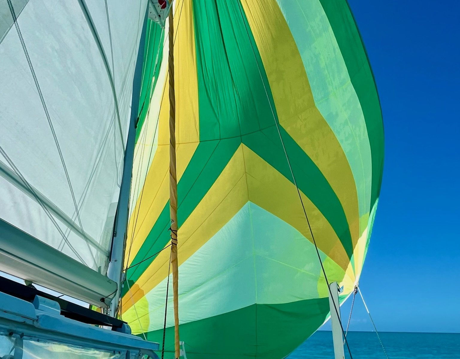 Spinnaker