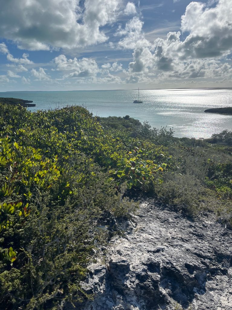Trouble in Williams Bay